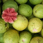 guava