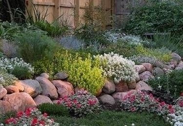 Creare un giardino roccioso giardini orientali Piante perenni per giardino roccioso