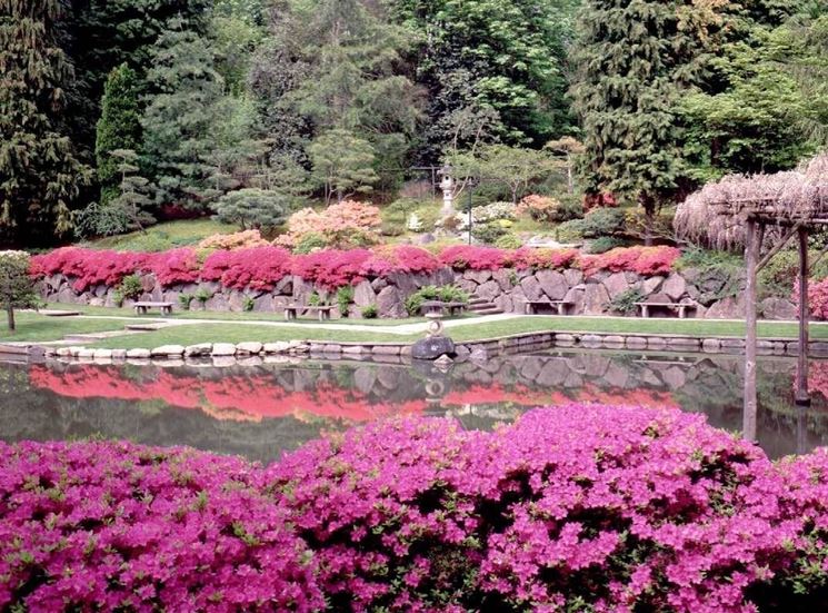 giardino giapponese