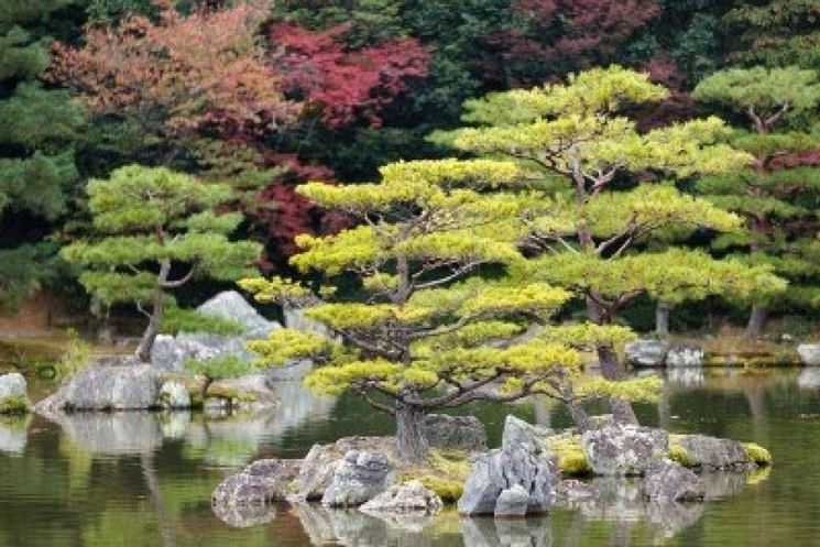 Giardini zen giardini orientali Giardini zen in italia
