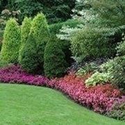 Come creare un bel giardino giardino fai da te Creare un aiuola