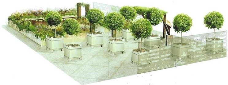 creare un giardino