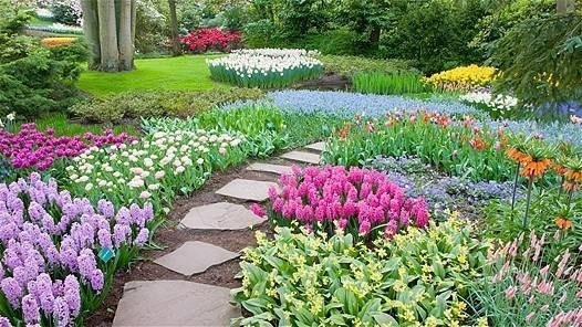 Fare un bel giardino giardino fai da te Come sistemare un giardino