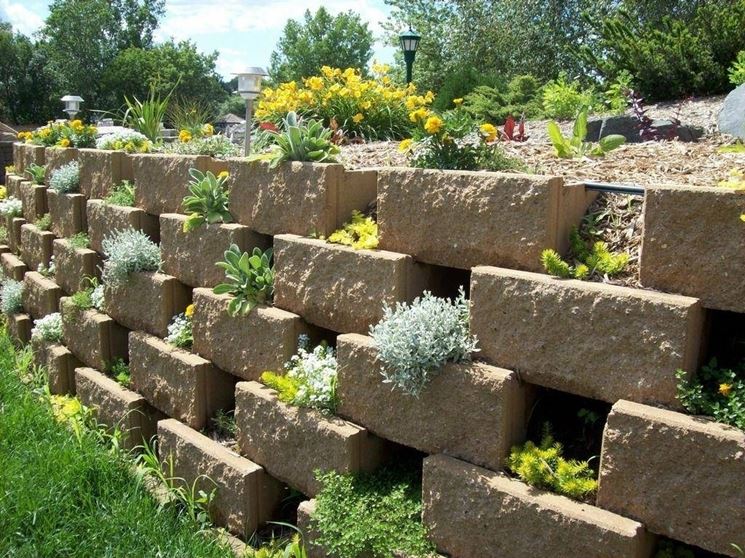 giardino verticale