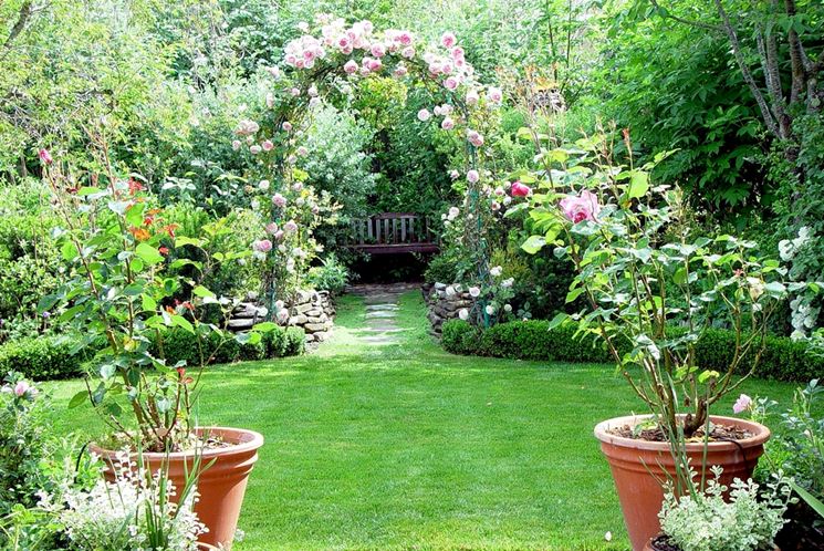 Giardino con rose