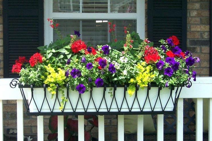 fiori balcone