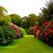 giardino in maggio