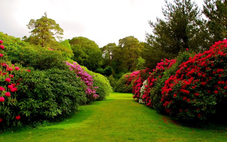 giardino in maggio