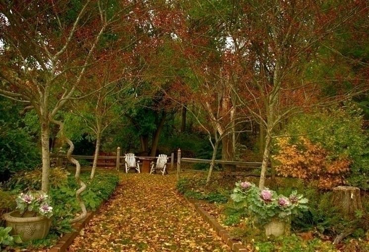 giardino novembre