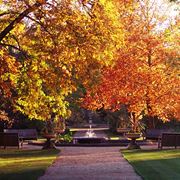 giardino ottobre