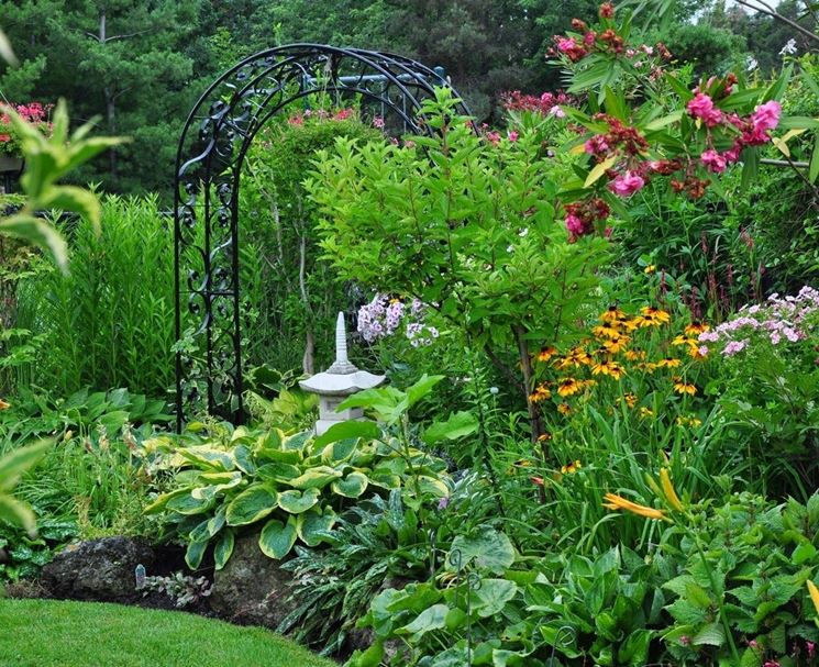 arbusti giardino