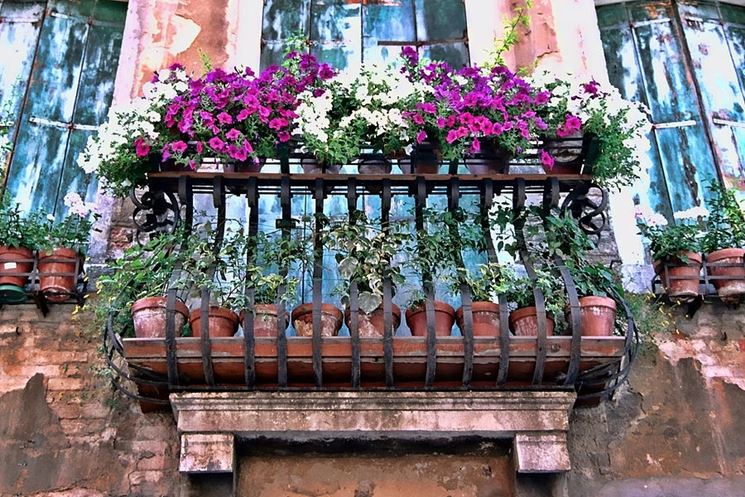 terrazza con fiori