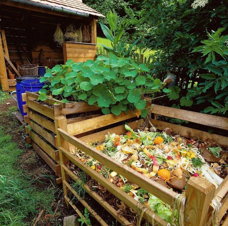 Compostiera fai da te - Tecniche di giardinaggio - Copostiera fai da te -  parassiti e malattie