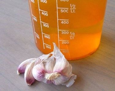 Pidocchi piante rimedi naturali: infuso d'aglio