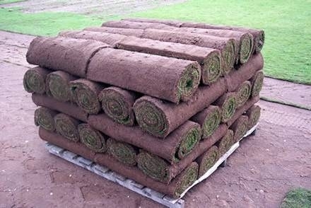 Prato a rotoli prato Preparazione terreno per semina prato