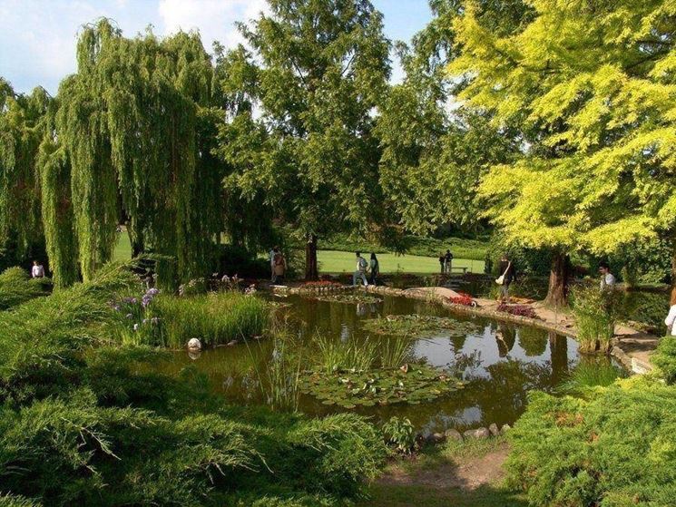 Giardino d'Autore di Villa Medicea di Castello