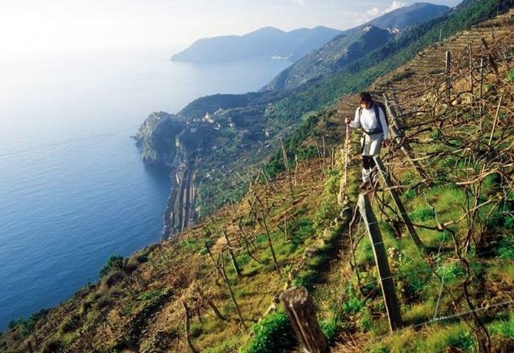 Il Parco Nazionale delle 5 Terre