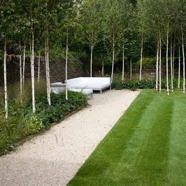 Giardino con alberi e divani.  Fonte foto ( http://www.housetohome.co.uk )