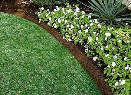 Bordure per aiuole tecniche di giardinaggio Piante per aiuole sempreverdi