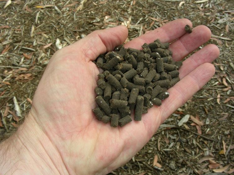 Concime organico pellet