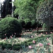 I Giardini in primavera.