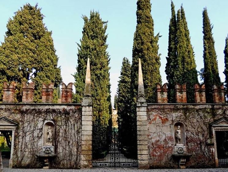 I cipressi di Giardino Giusti