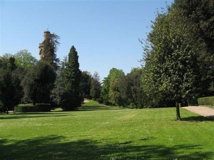 Vista sul giardino