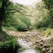 Parco nazionale Abruzzo, Lazio e Molise