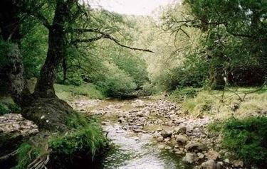 Parco nazionale Abruzzo, Lazio e Molise