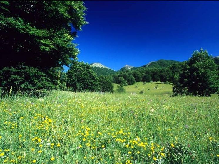 Paesaggio incontaminato