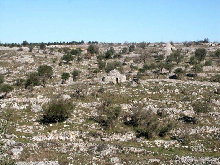 Scorcio del parco dell'Alta Murgia