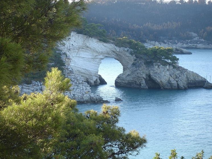 Scorcio del Parco Gargano