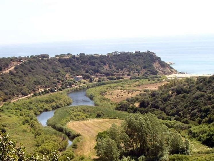 Torrente nel Parco Gennargentu