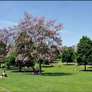 Parco giardino Sigurt