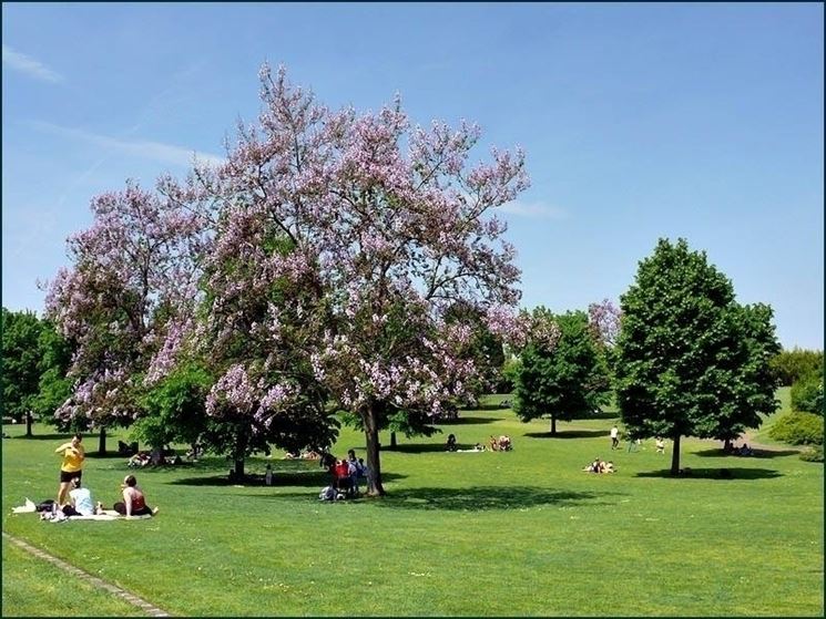 Parco giardino Sigurt