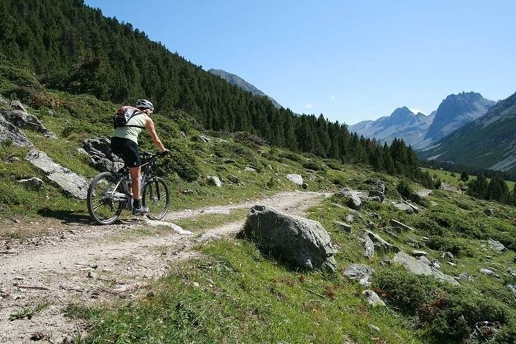 Percorso in montain bike