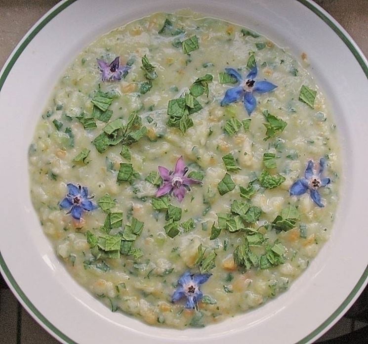 risotto borragine