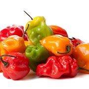 peperoncino habanero