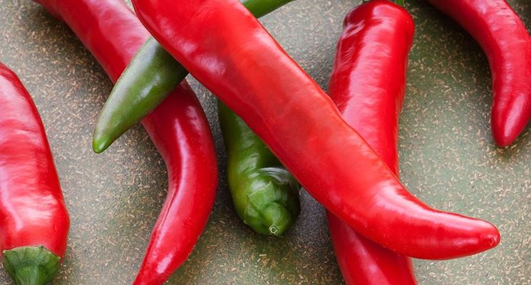 Peperoncino a Tropea