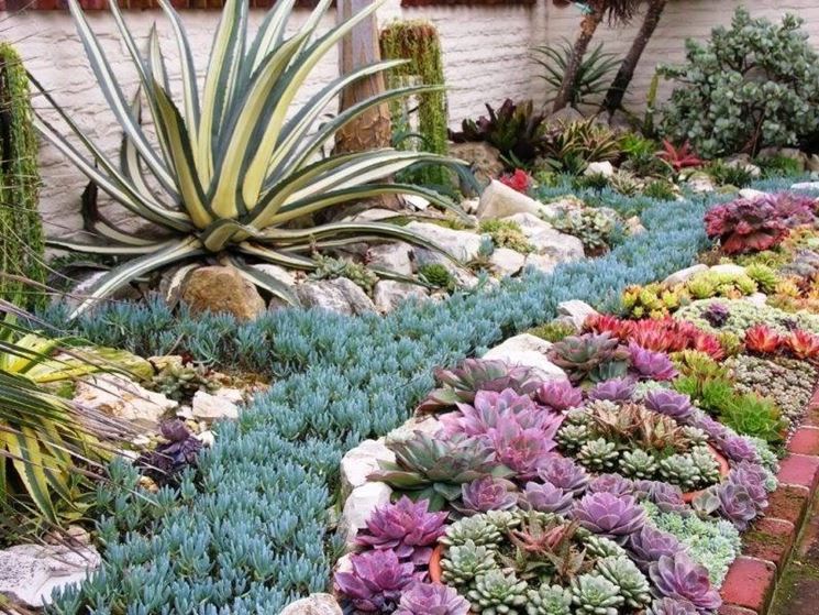 LE AIUOLE DI PIANTE GRASSE