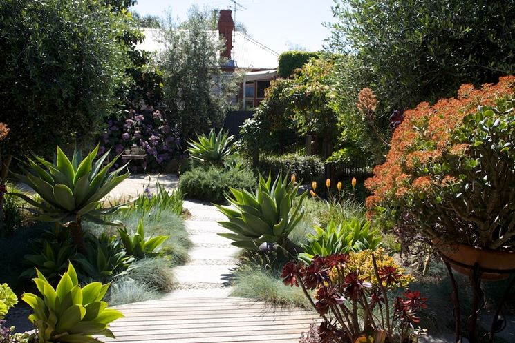 giardino esotico