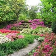 immagini giardini fioriti
