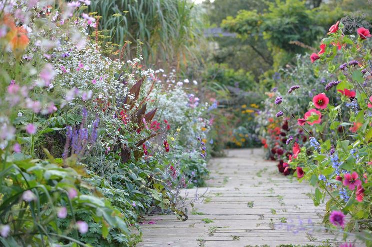 fiori in giardino inglese