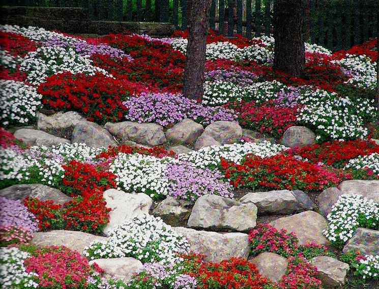 Giardini rocciosi fai da te crea giardino Piante perenni per giardino roccioso