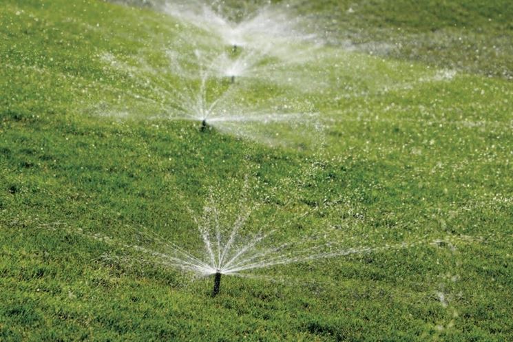 Giardino con irrigazione