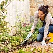 lavori di giardinaggio