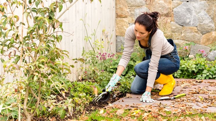 lavori di giardinaggio