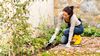 lavori di giardinaggio