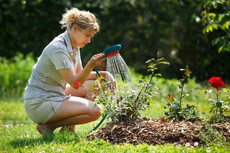 annaffiare giardino