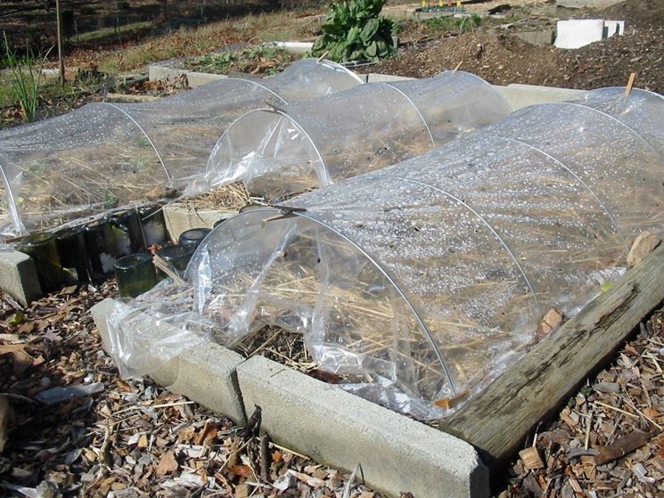 giardinaggio di novembre